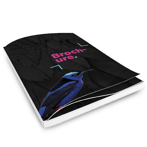 brochure