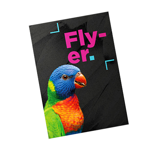 flyer prenium