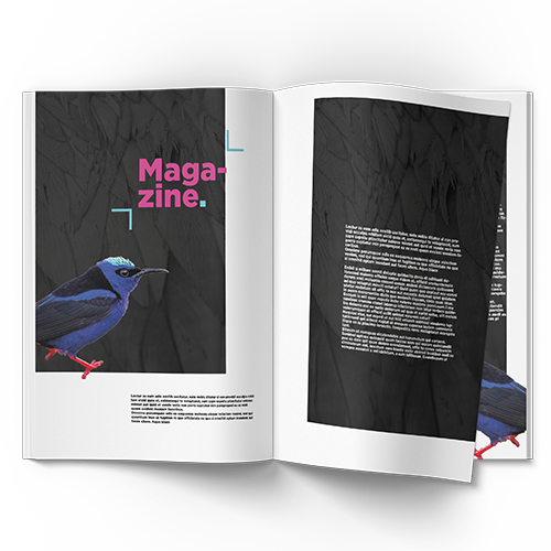 magazine